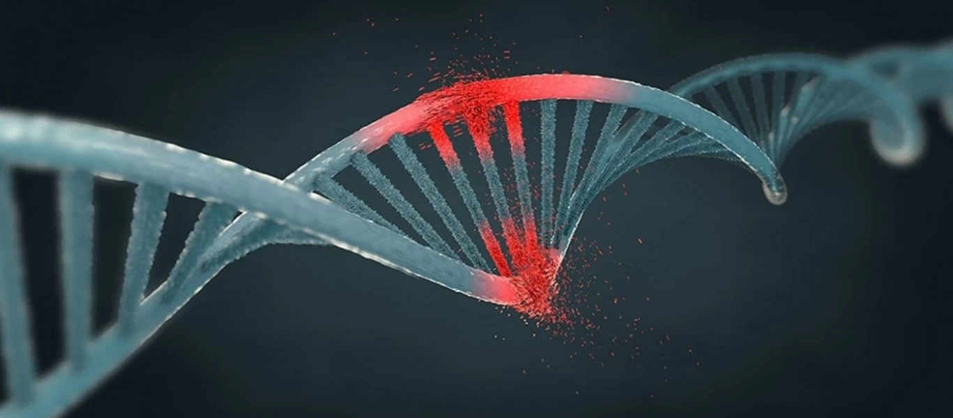 Ανακαλύφθηκε τεστ που προβλέπει τον κίνδυνο θανάτου εντός 1 έως 3 ετών